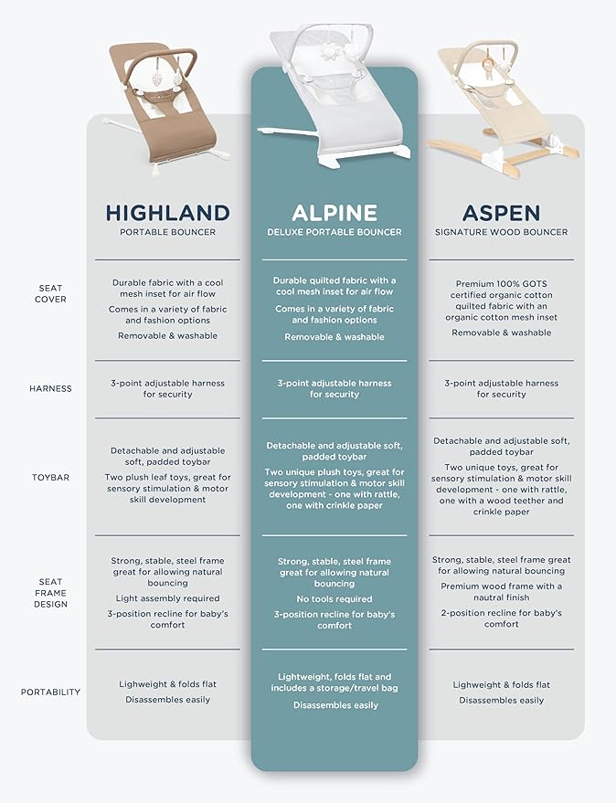 Baby Delight Alpine Deluxe Portable Bouncer | Infant | 0 – 6 Months | Driftwood Grey