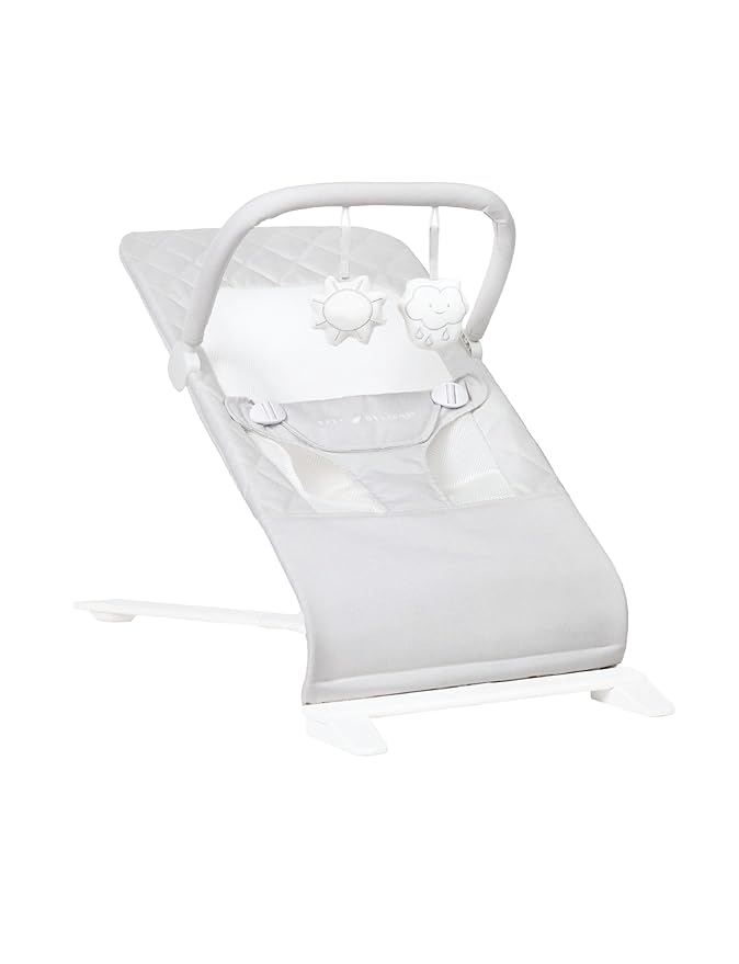 Baby Delight Alpine Deluxe Portable Bouncer | Infant | 0 – 6 Months | Driftwood Grey