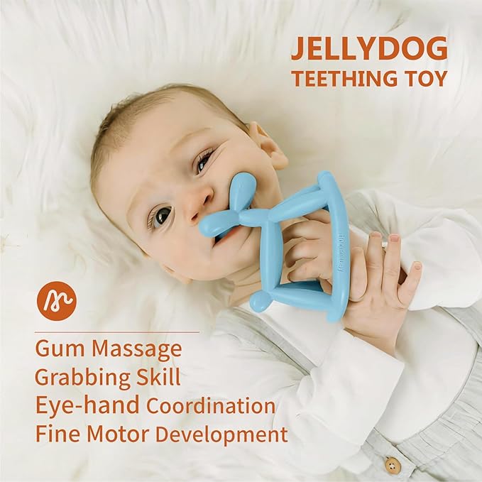 Baby Teether Toys for Teething Relief, Teething Toys 3-6 Months Food Grade Silicone Teether with Storage Box and Pacifier Clip, Baby Essential (Cyan Blue Clip+Box)