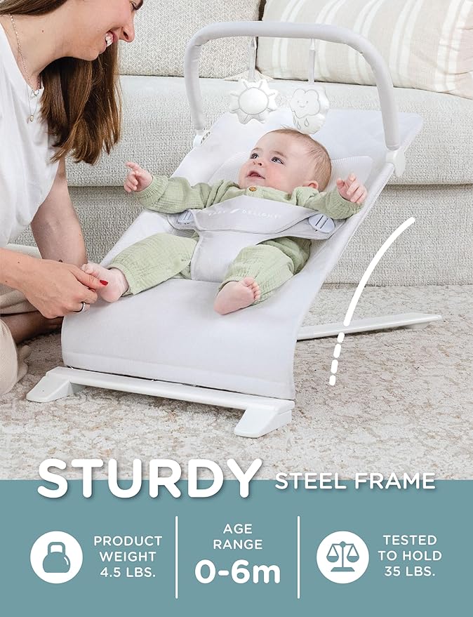 Baby Delight Alpine Deluxe Portable Bouncer | Infant | 0 – 6 Months | Driftwood Grey
