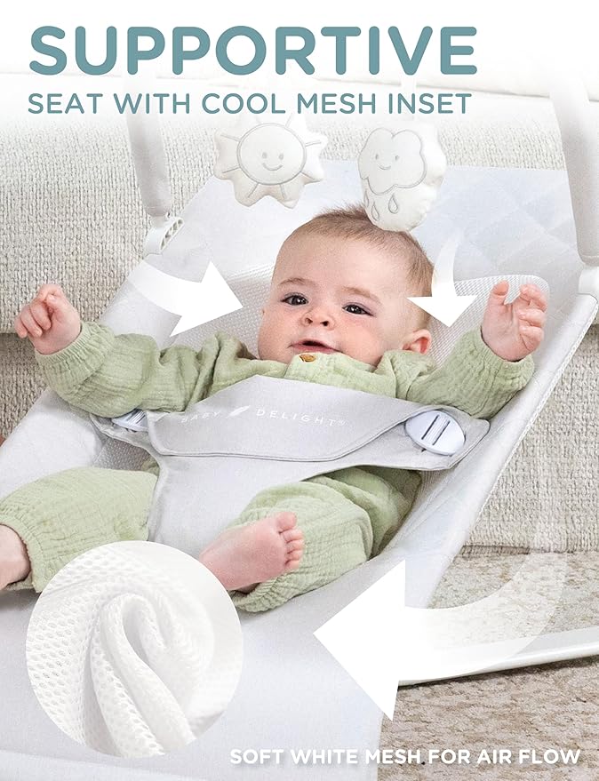 Baby Delight Alpine Deluxe Portable Bouncer | Infant | 0 – 6 Months | Driftwood Grey